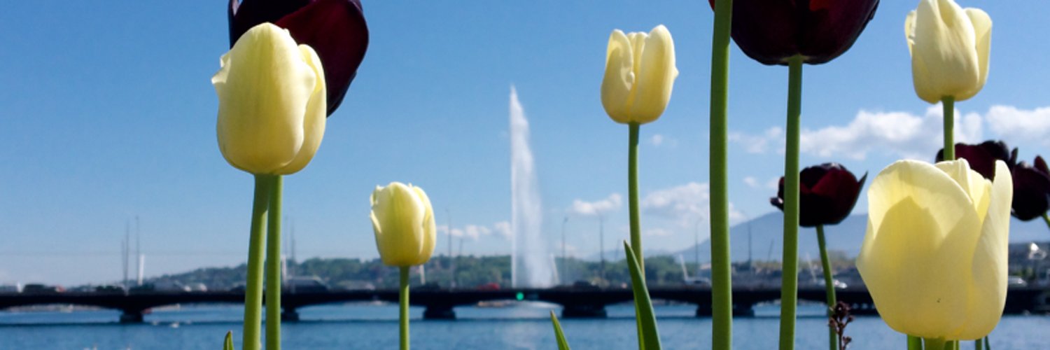 Netherlands Mission in Geneva banner
