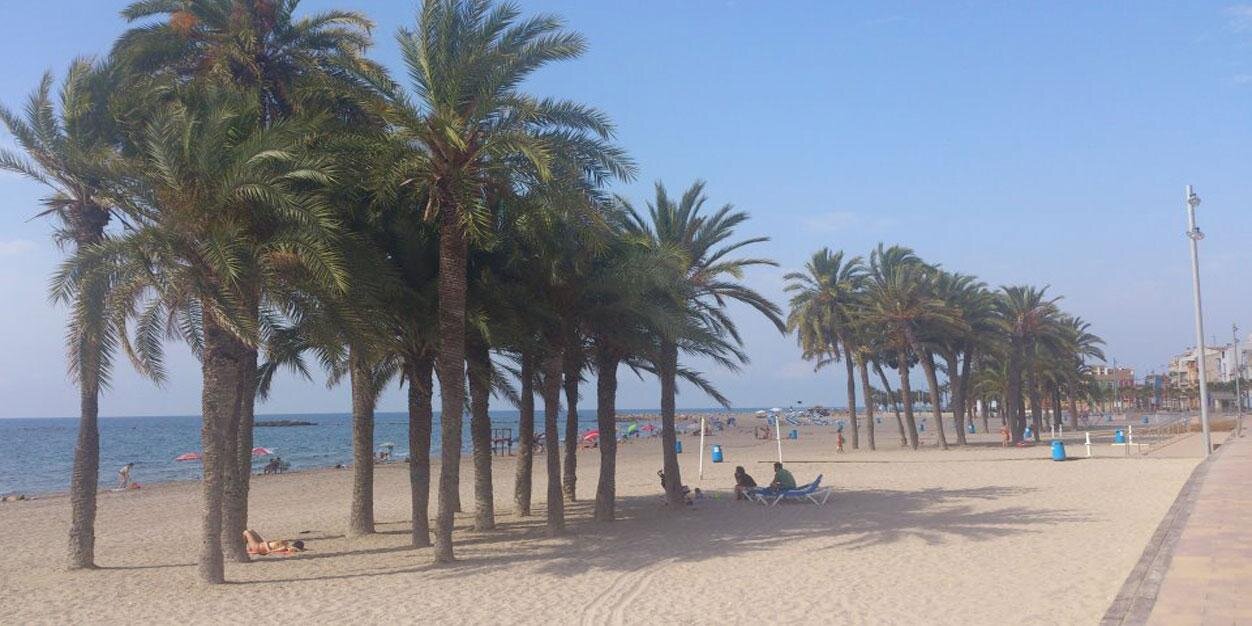 Doncampari 🇨🇭 banner