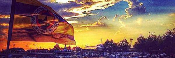 vdgnlr's profile banner image