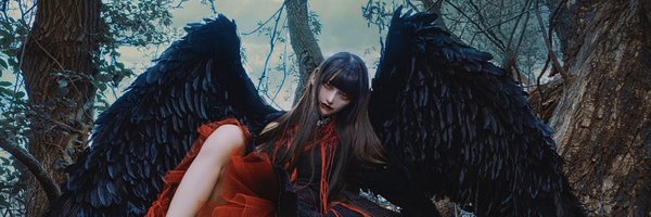 takane_daily Profile Banner