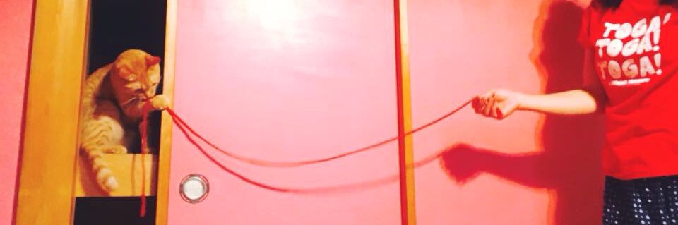 brick396's profile banner image