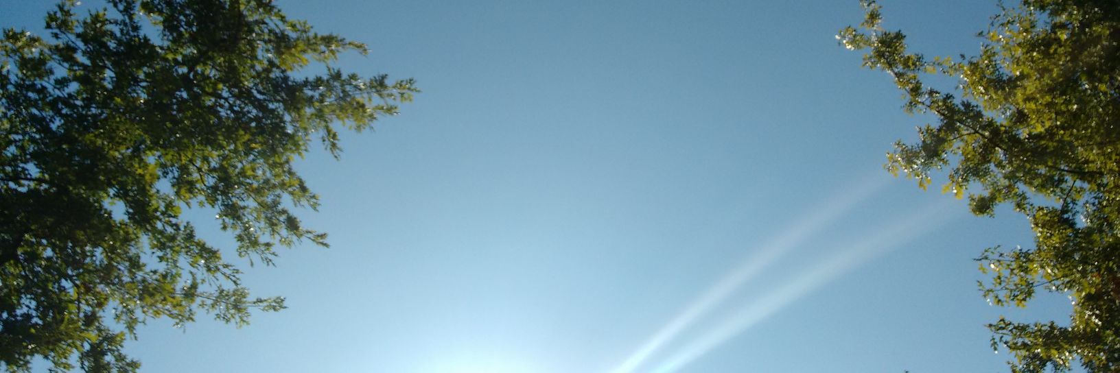 juandiegomon's profile banner image