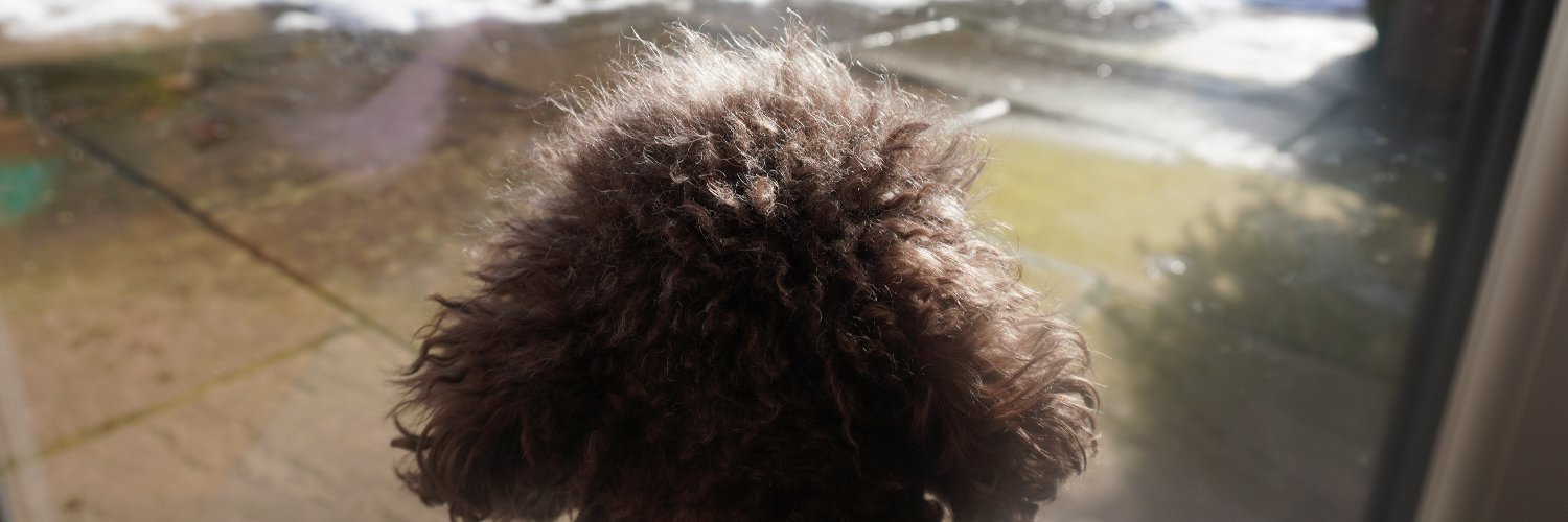 samthescotsman's profile banner image