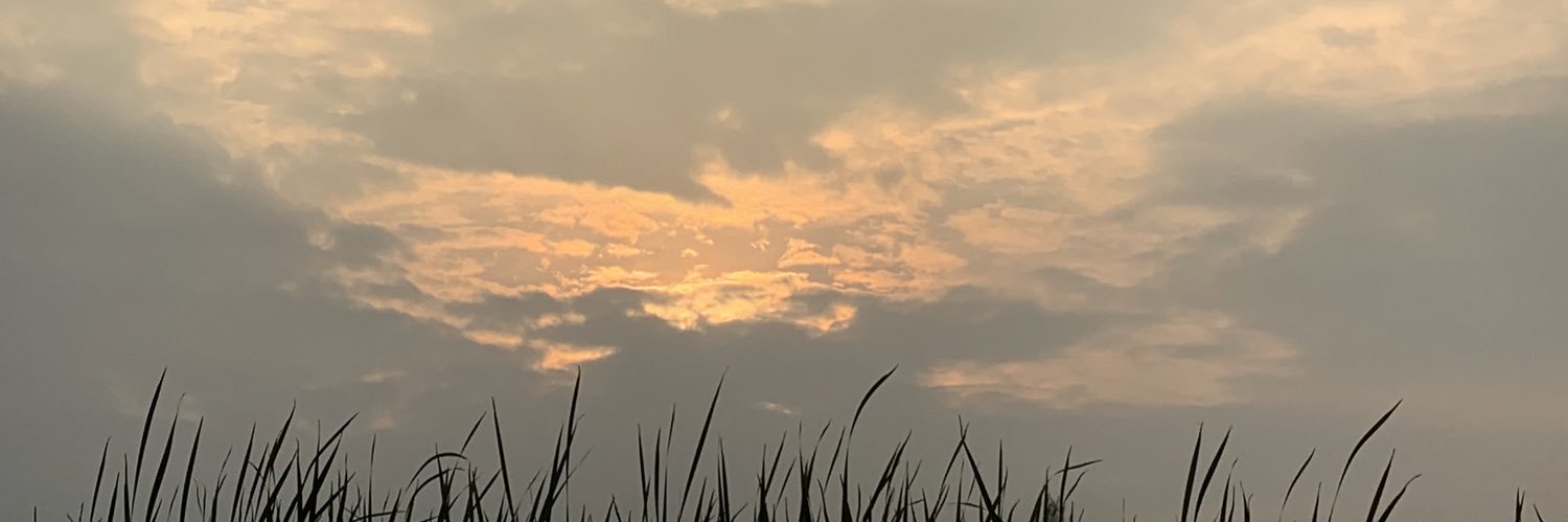 C__C banner