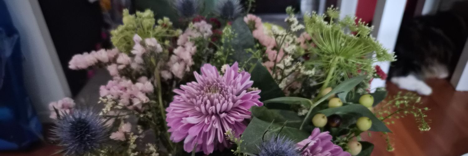 🇵🇸🕷 vy banner