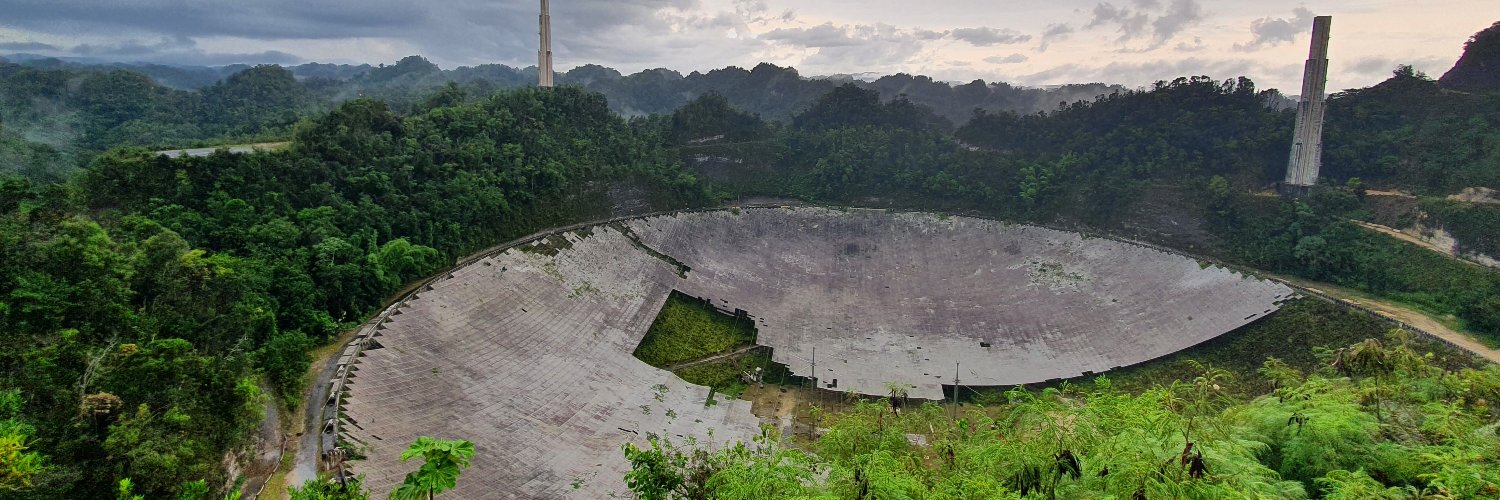 Harald Ringbauer banner