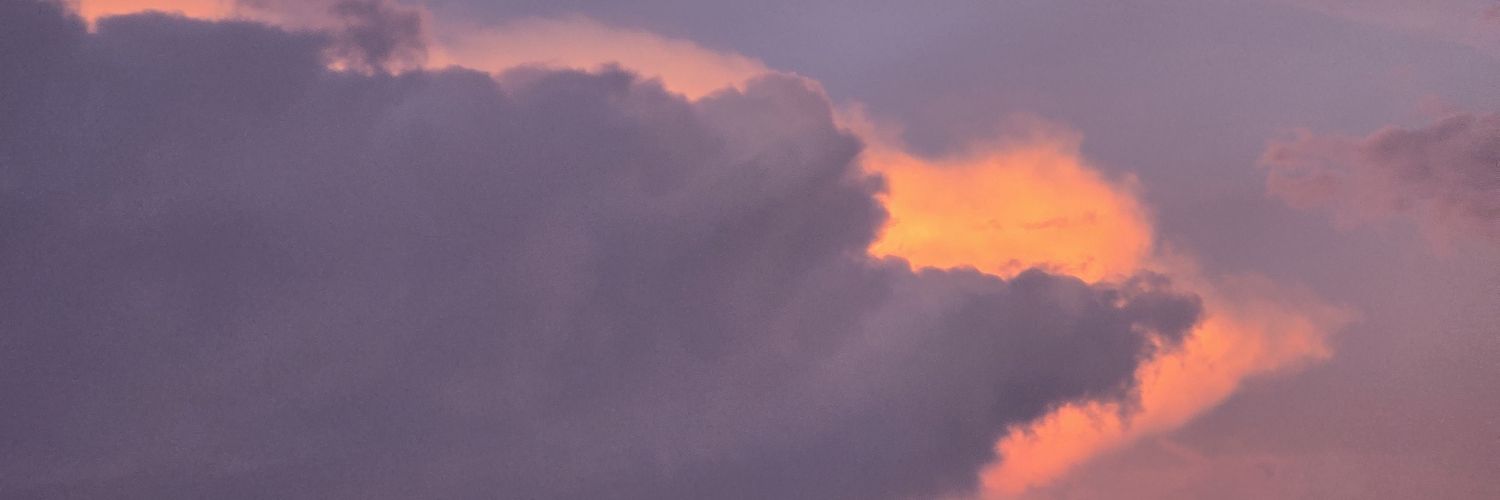 ximenatst's profile banner image