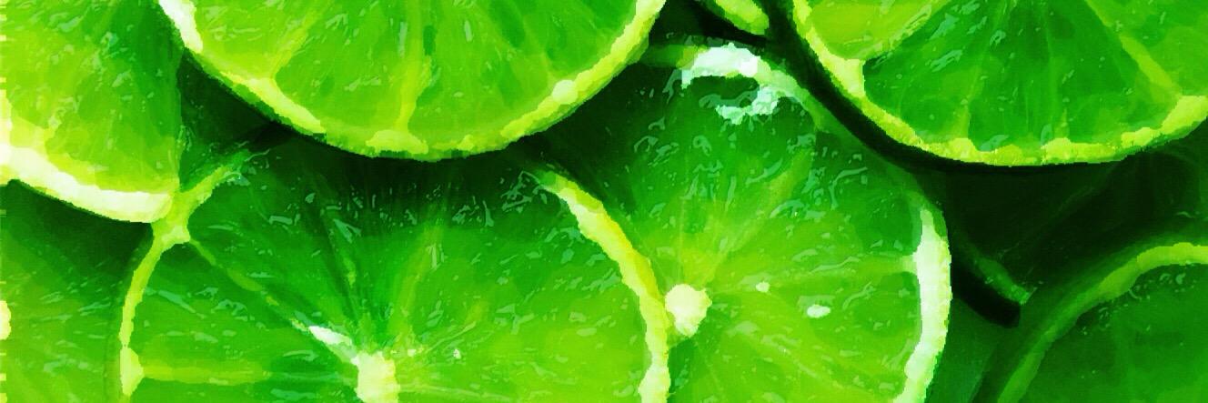 FightLyme's profile banner image