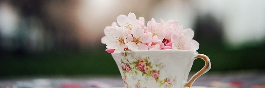 EVEFARY© 🦊🍓 banner