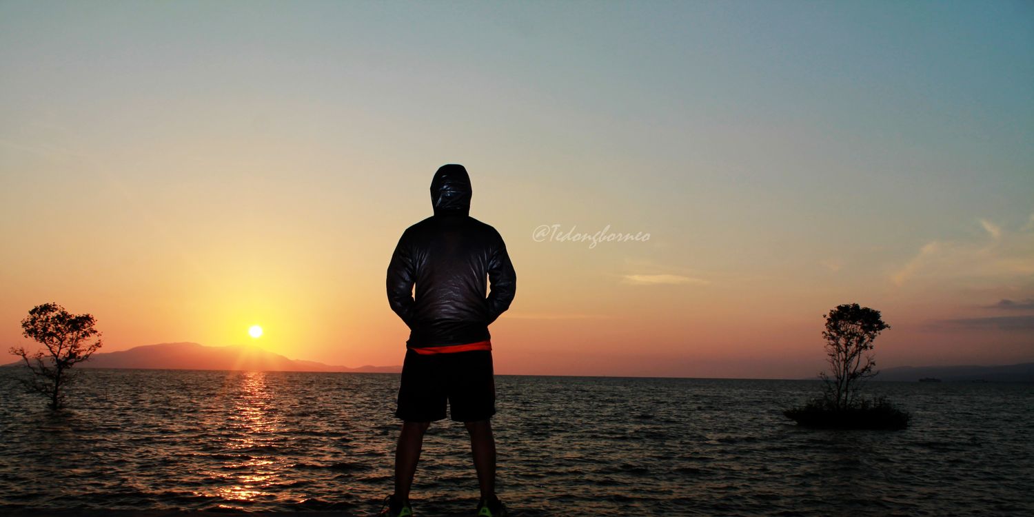 tedongborneo's profile banner image