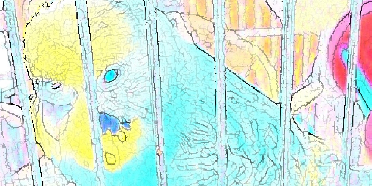 yoohco's profile banner image