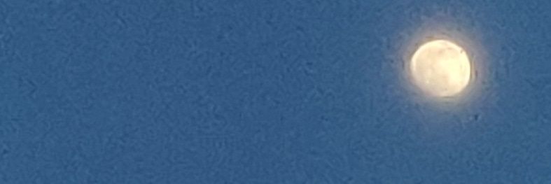 fabieng banner