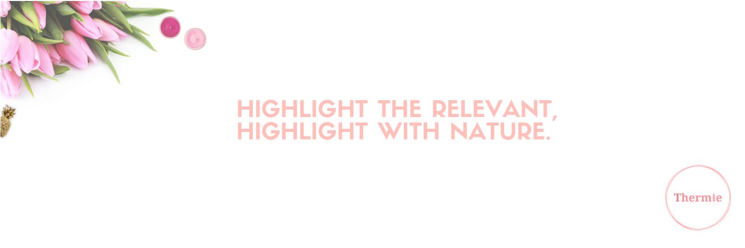 ThermieBH's profile banner image