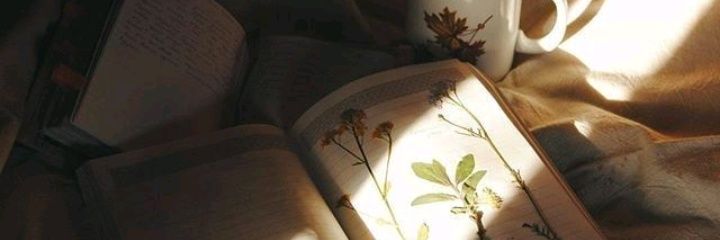 vfsfebry's profile banner image