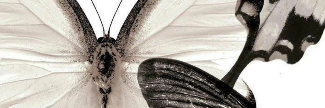 zabeellaaa's profile banner image
