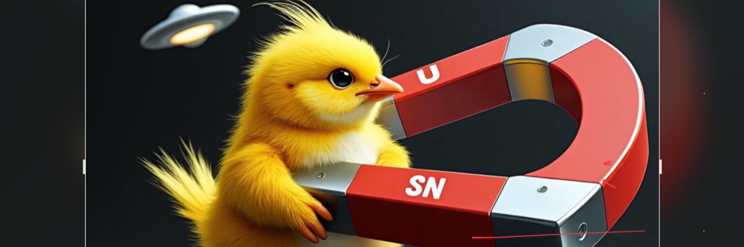 Chick Magnet banner