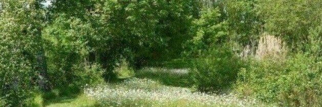 nate. banner