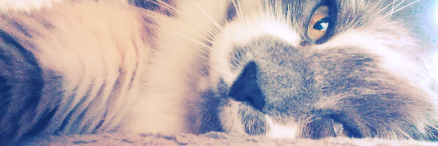 MissJackyM's profile banner image