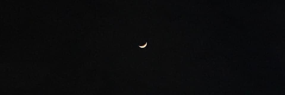 mia_mfa's profile banner image