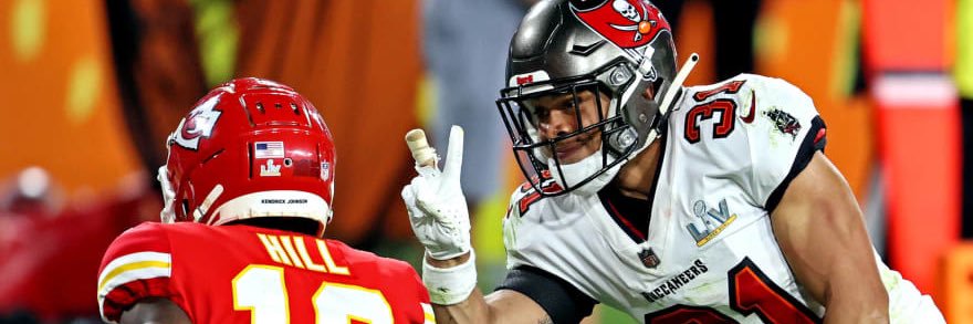 Domestic Supply of Lunacy banner