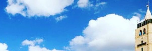 Local McKinney Texas banner