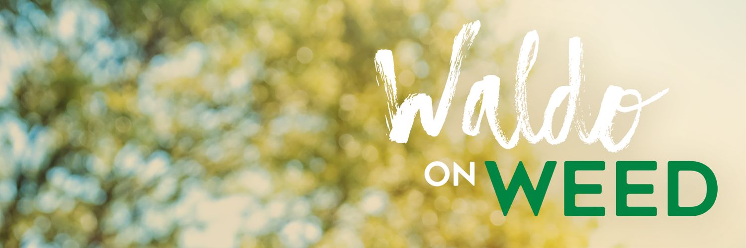 WaldoOnWeed's profile banner image