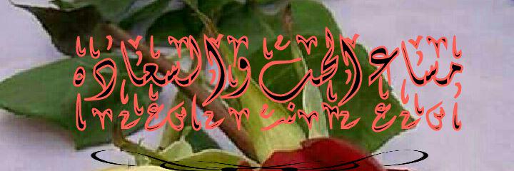 dhua55's profile banner image