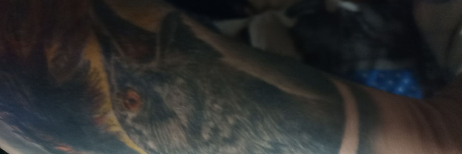 otrogato471's profile banner image