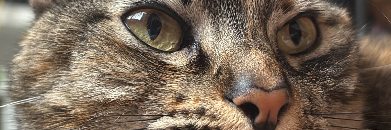 Jeferrigon's profile banner image