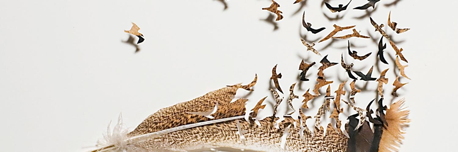 AnnetaaNose's profile banner image