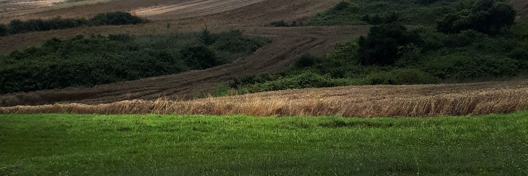 arfgdkk's profile banner image