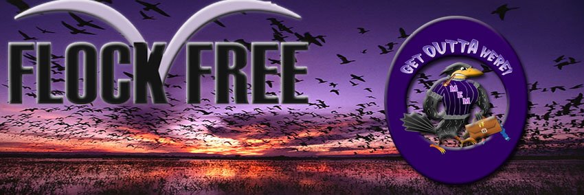 Flock_Free's profile banner image