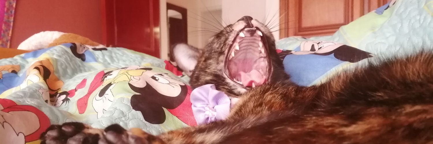 Panela_96's profile banner image