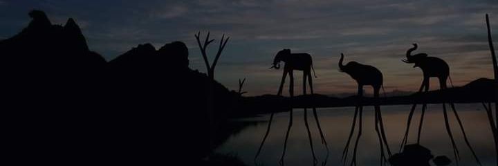 jandreson's profile banner image