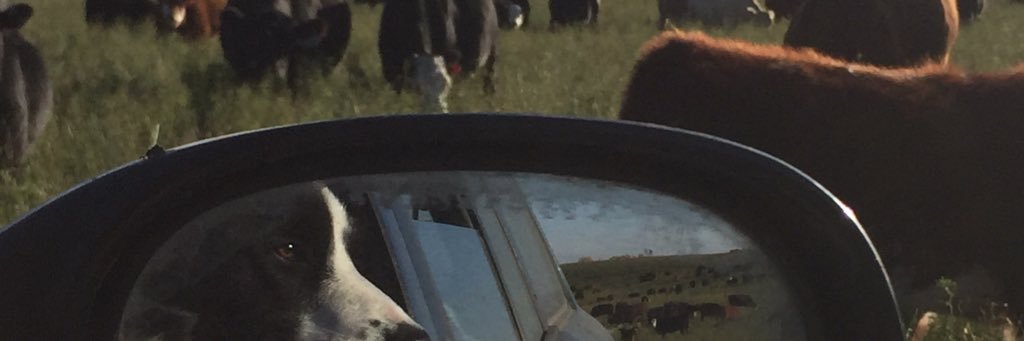 MichelleJill's profile banner image