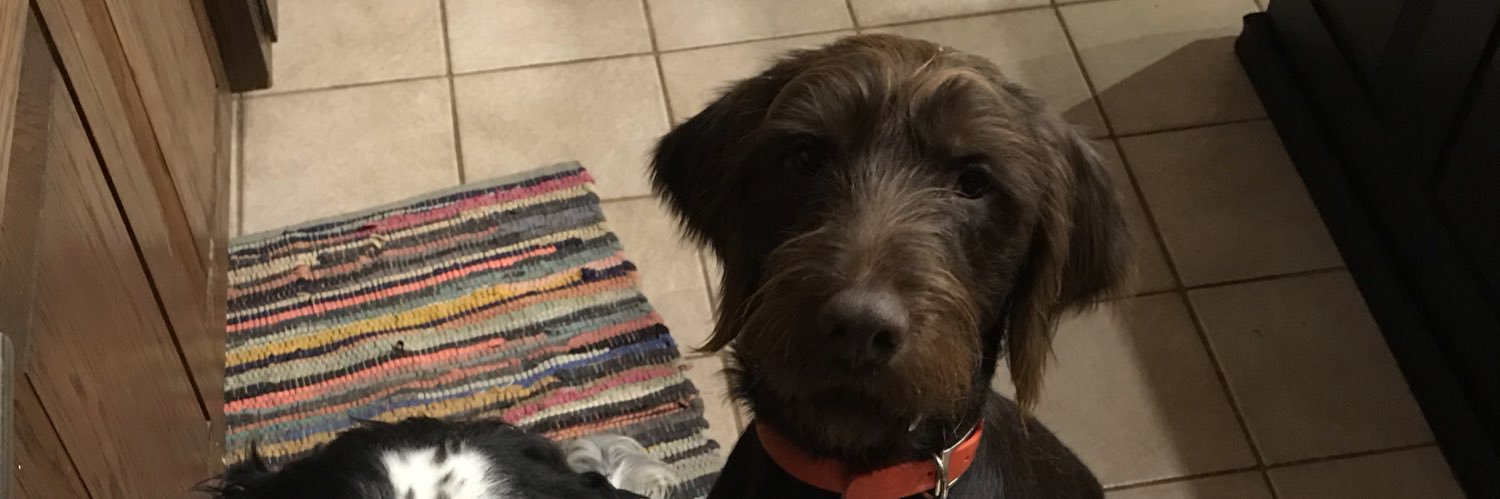 NigelRN's profile banner image
