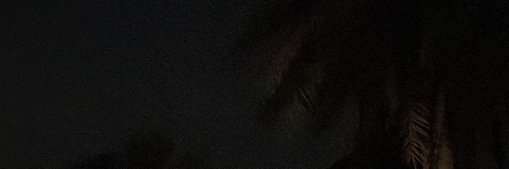 rr banner