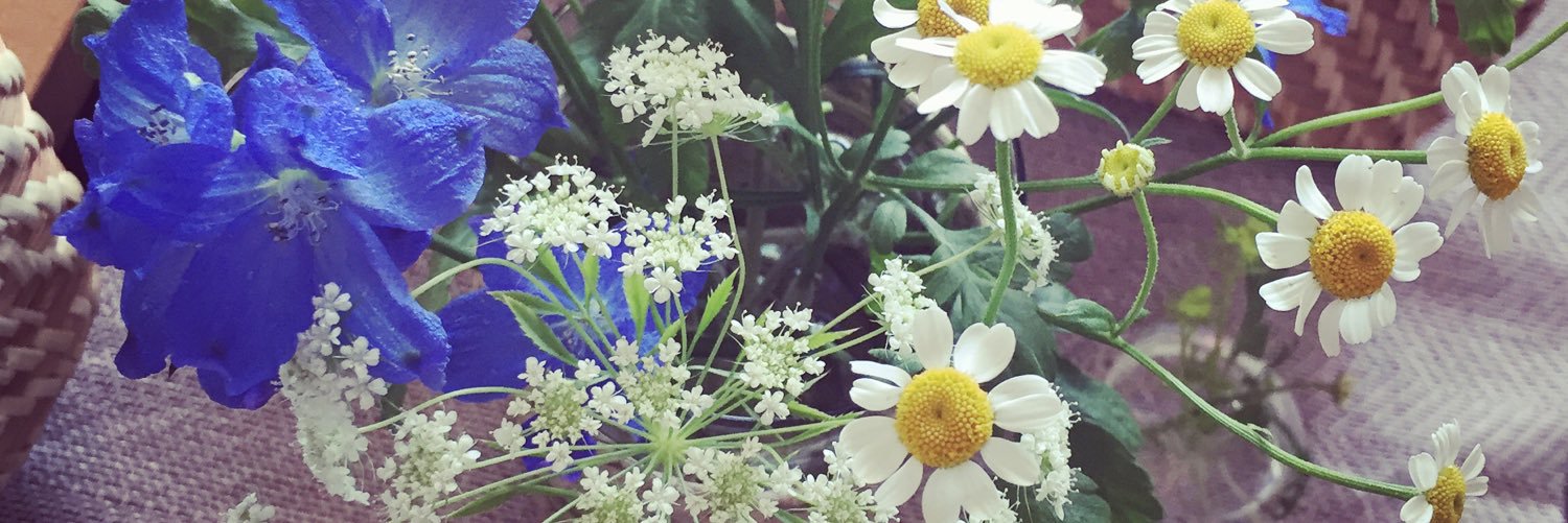 稲益 宏美 いなます ひろみ Hiromi Inamasu banner