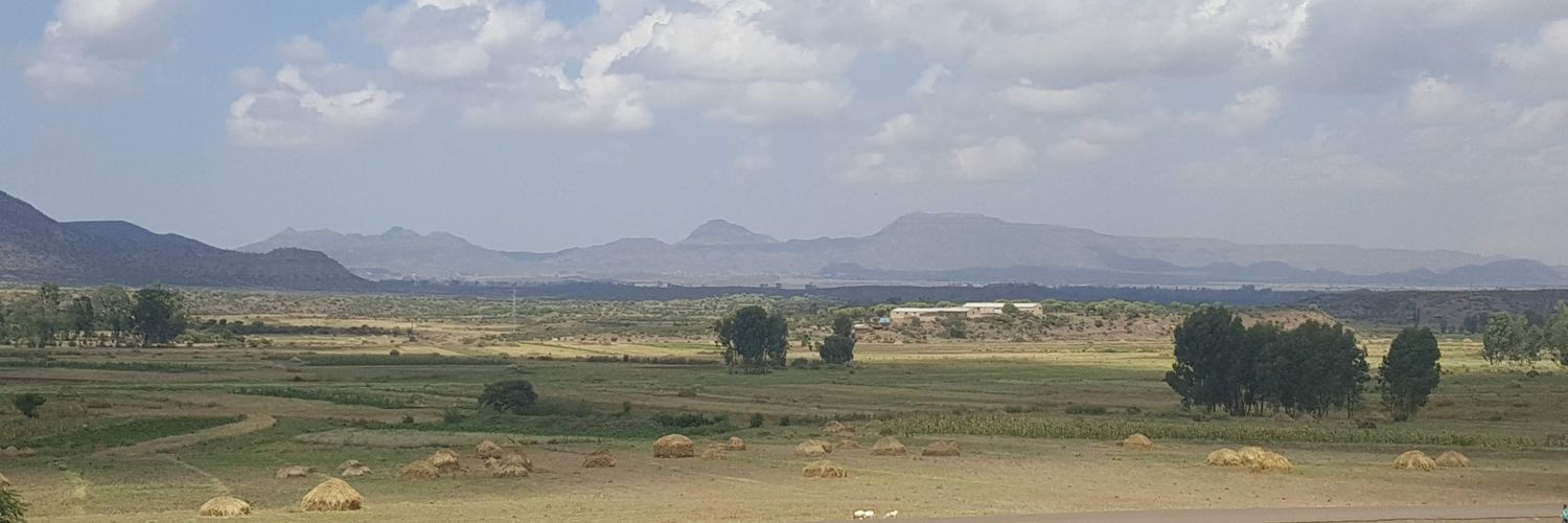 Shewit Woldemichael banner