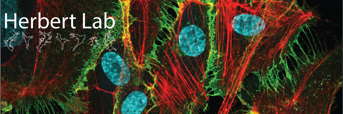 Herbert Lab banner
