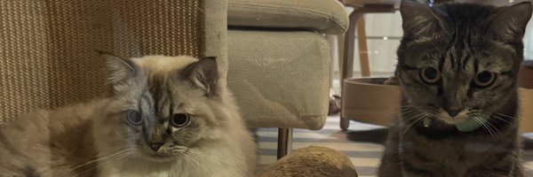 mookmak Profile Banner