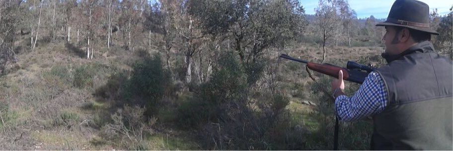davidgalcar's profile banner image