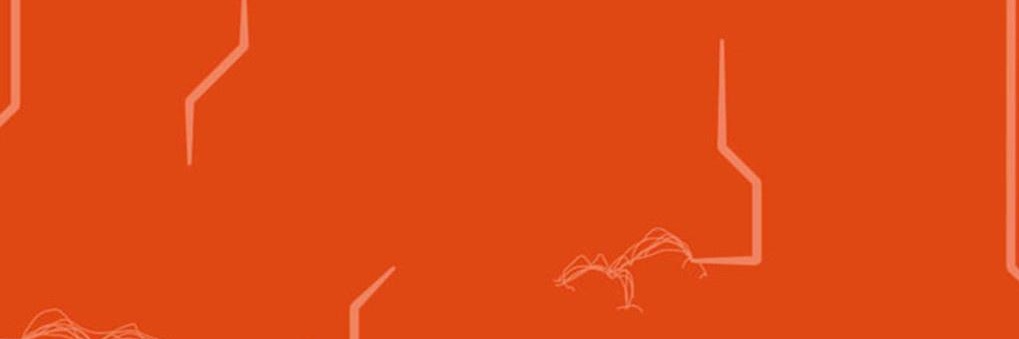 Irteza banner