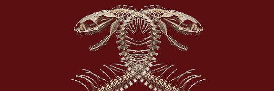 supponponsnake's profile banner image