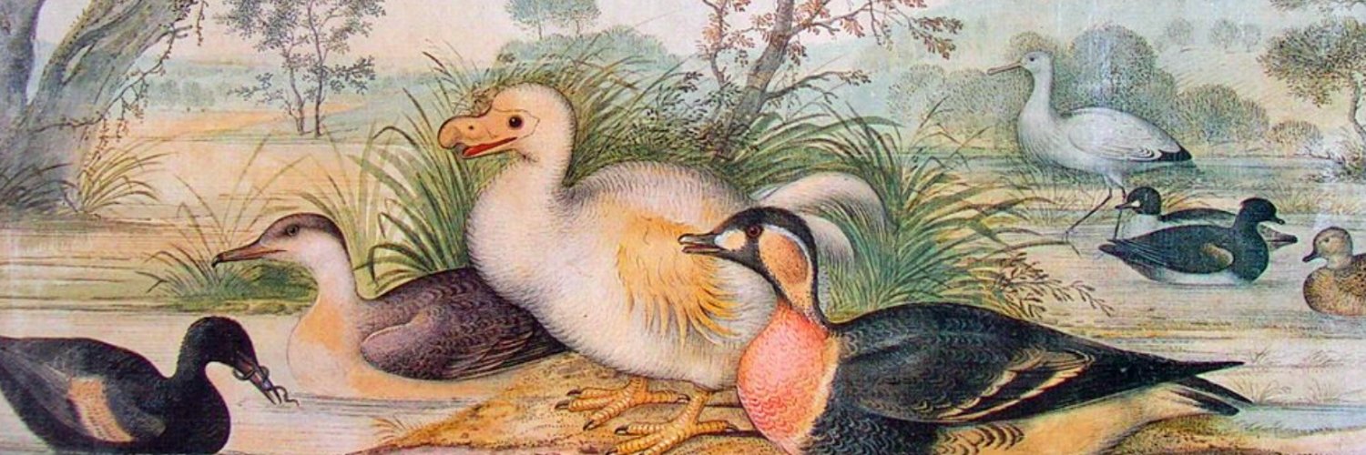 川端裕人・「新版・色のふしぎと不思議な社会　2020年代の色覚原論」（ちくま文庫）が出ました！ banner