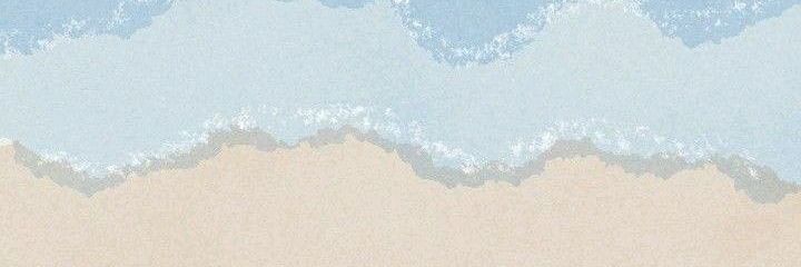 zei banner