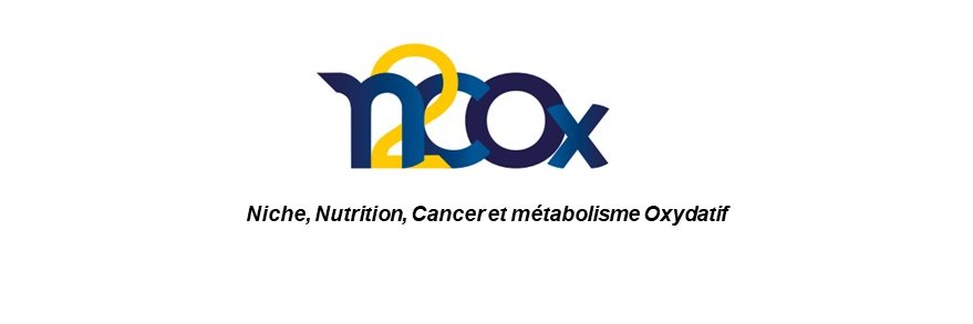 Inserm UMR 1069 N2COx banner