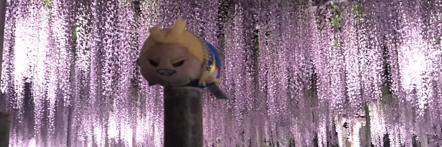 newomu's profile banner image