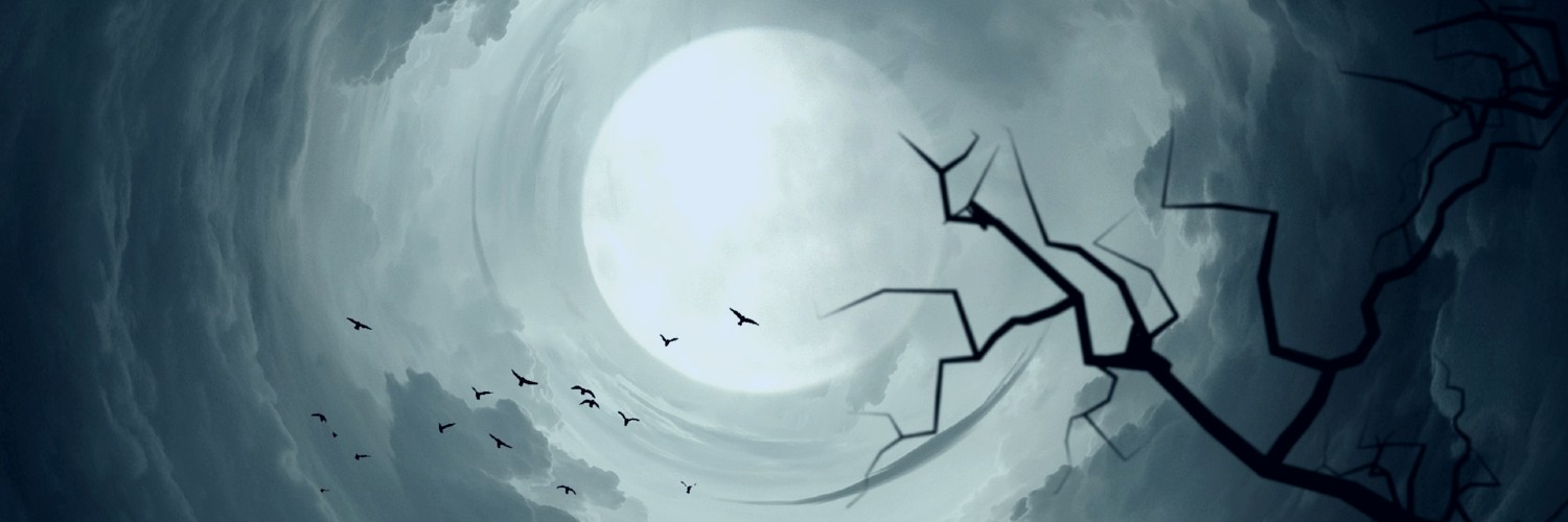 David J. Thirteen banner