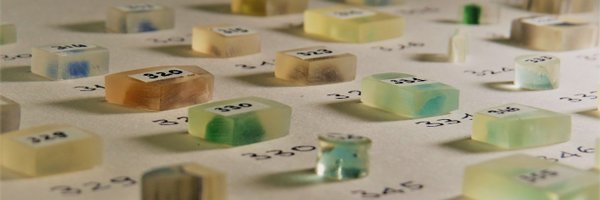 ccht_venice Profile Banner